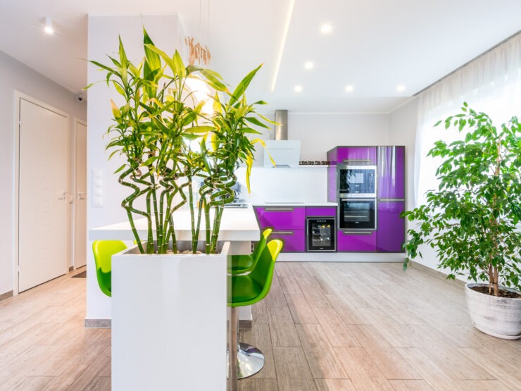 Bright and spacious semi-detached house in Viimsi